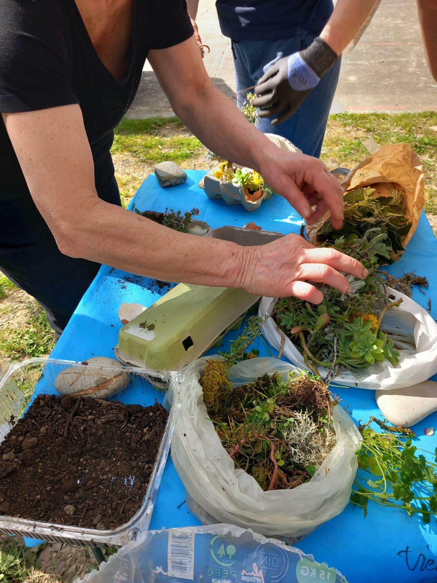 Préparation de la boîte à oeufs